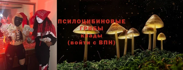 apvp Арсеньев