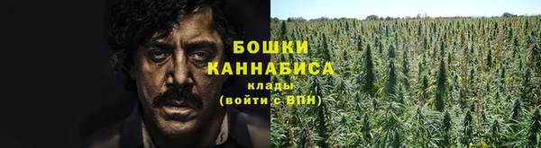 apvp Арсеньев