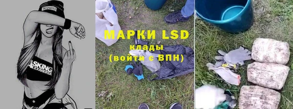 apvp Арсеньев