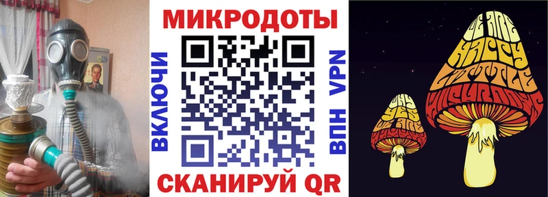 Псилоцибиновые грибы Psilocybe  MEGA tor  Чебаркуль 